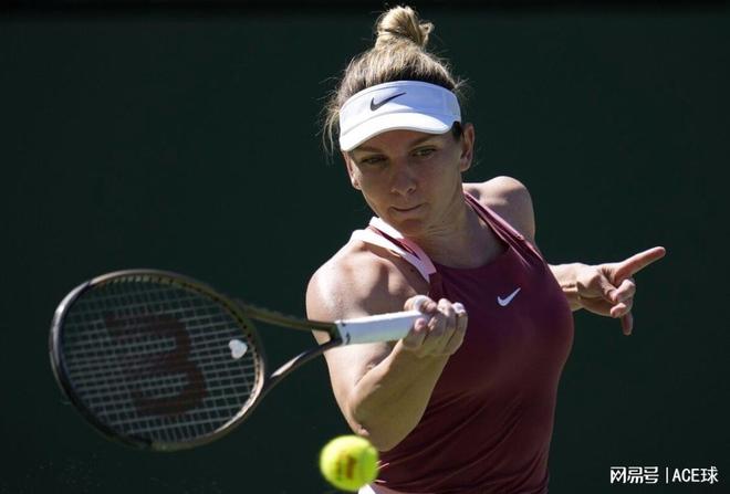 提供了极大 提供了极大