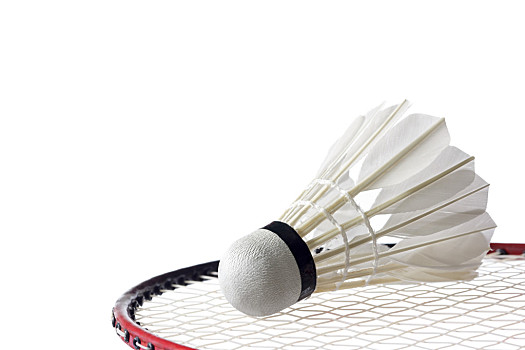 直播前等1 直播前等1